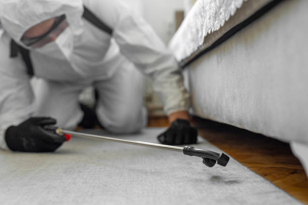 Professional Bed Bug Control technician working in Lake Catherine, IL