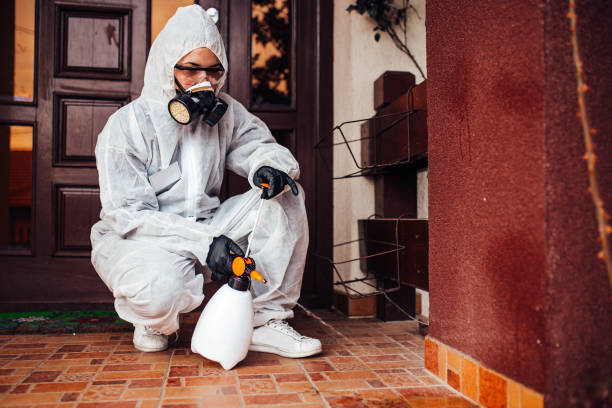 Reliable Bed Bug Control contractor in Lake Catherine, IL by Nex Pest Control