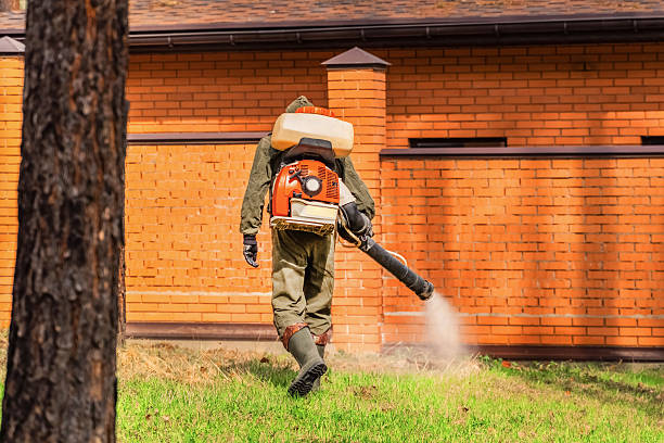 Trusted Cockroach Control service in Lake Catherine, IL - Nex Pest Control